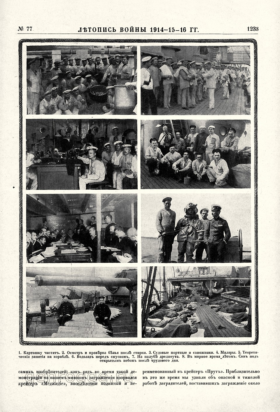   1914-15-16 . `1916 .,  77, . 1233