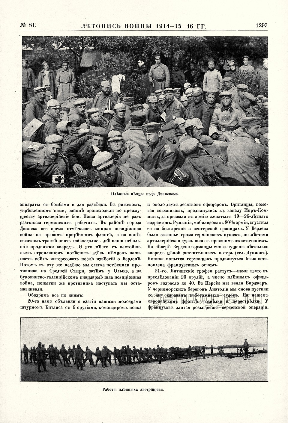   1914-15-16 . `1916 .,  81, . 1295