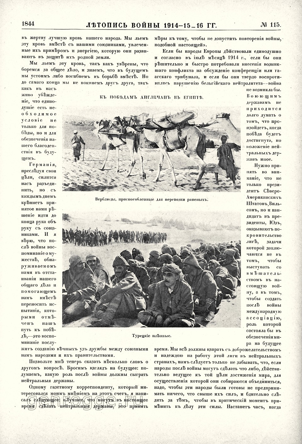   1914-15-16 . `1916 .,  115, . 1844