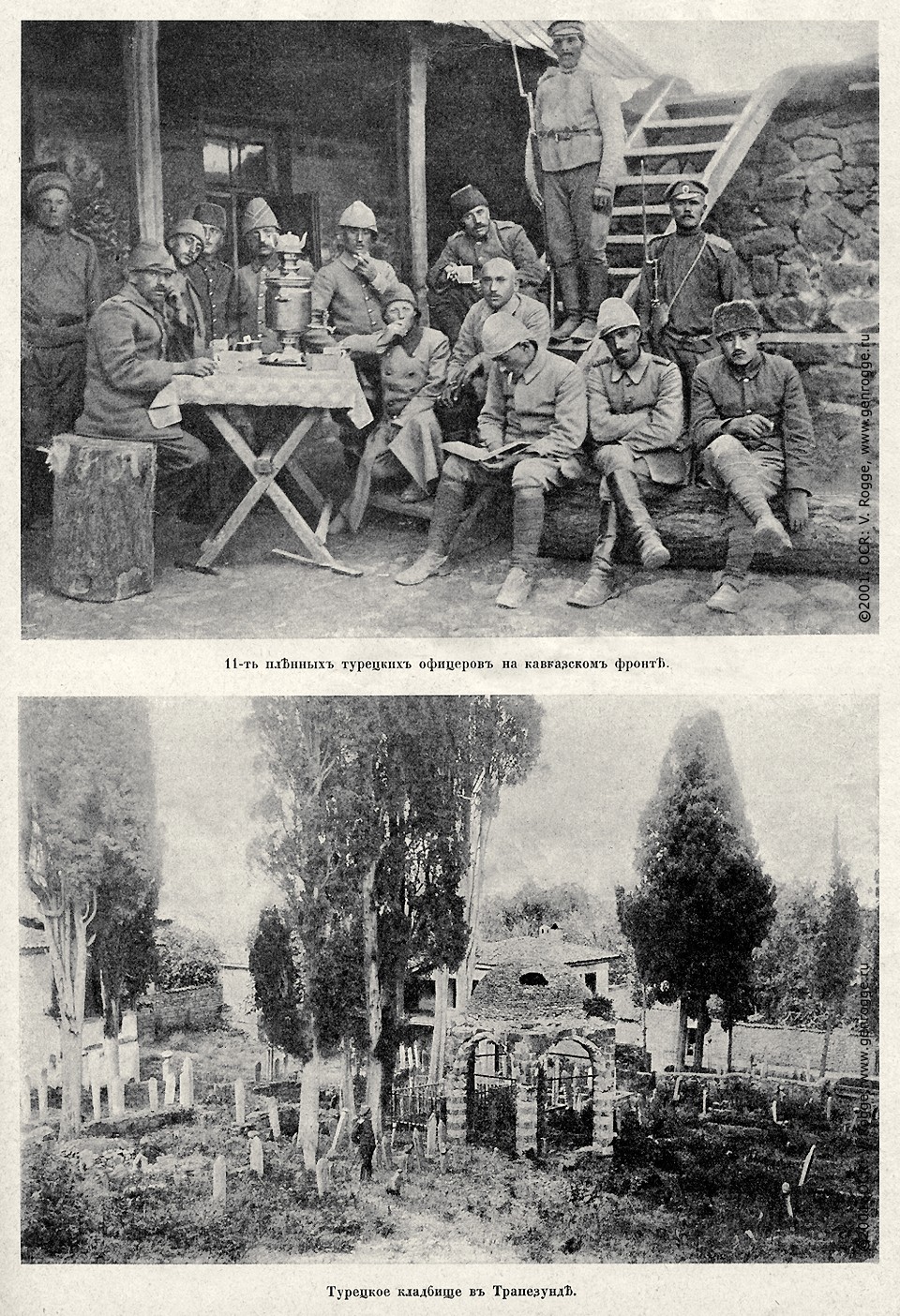   1914-15-16 . `1916 .,  118, . 1885