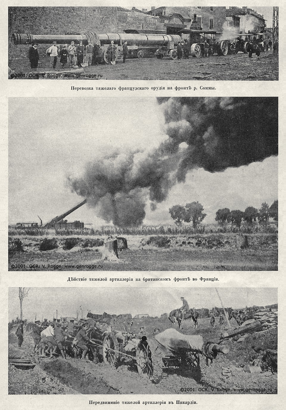   1914-15-16 . `1916 .,  118, . 1895